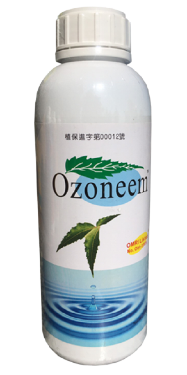 苦楝油 1L